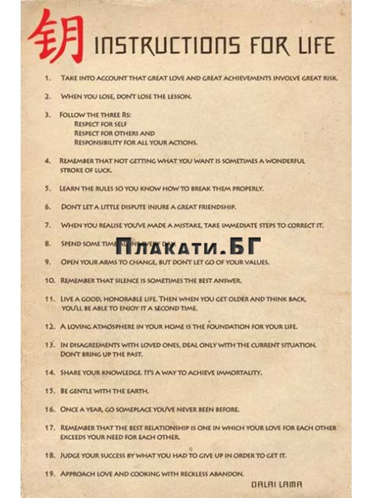 Далай Лама - Инструкции за живота - плакат/постер/ 61х91,5 см
